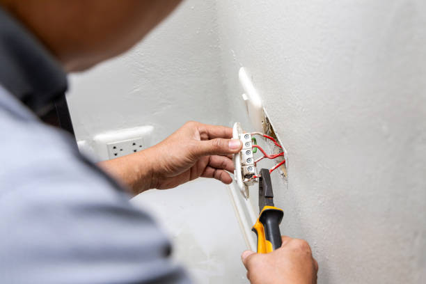 Best Electric Panel Repair  in Rosanky, TX